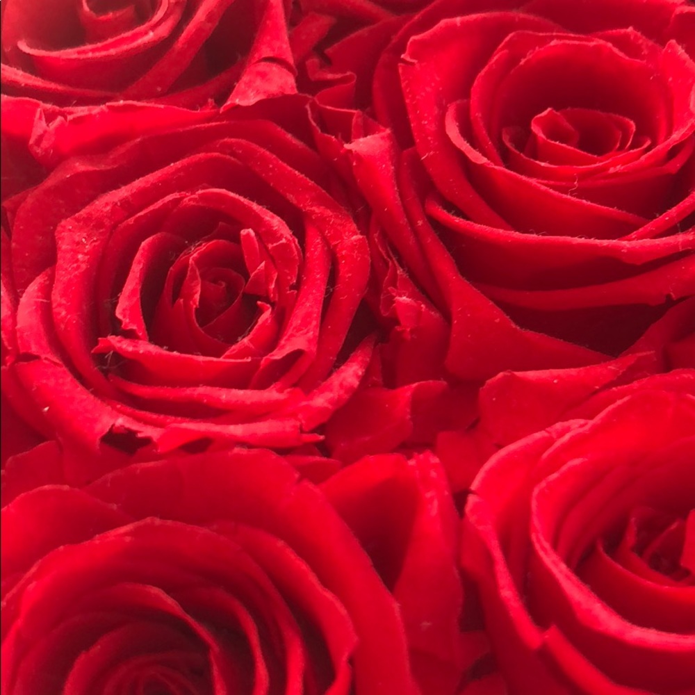 Meet your Posher, Rainy